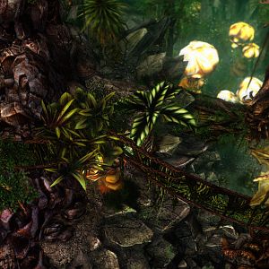 Zerus Jungle W01