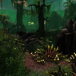 Zerus Jungle W06