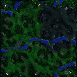 Aschy Arena Top View
