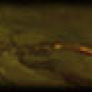 New Bar - Terrain Art