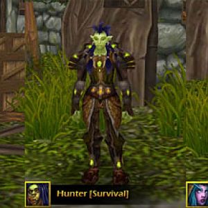 Agility Playable Class