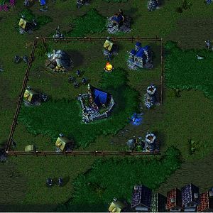 The whole human town.