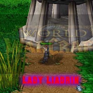 World of Warcraft picture 8