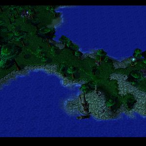 Wood elves forest