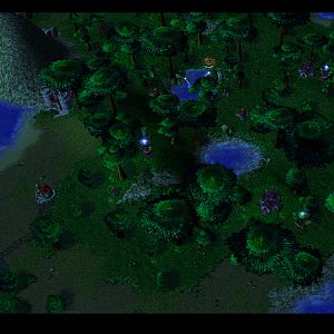 Wood elves forest