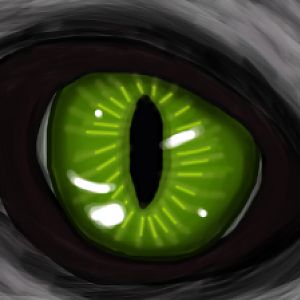 CatsEye