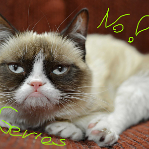 Signed by Geries, for his friend chobibo :D