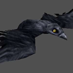 Raven