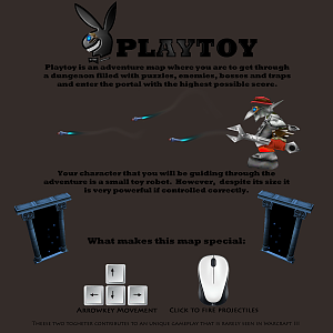 Playtoy Description
