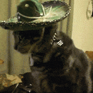 86275.gif