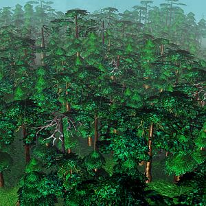 Improved Forest of the Map "Mission Impossible"