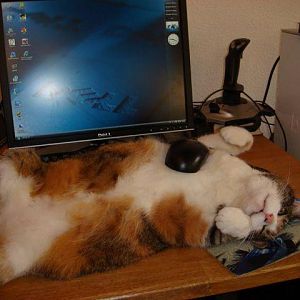 マウスと言えば僕でしょ？
The idea I Speaking of a mouse?