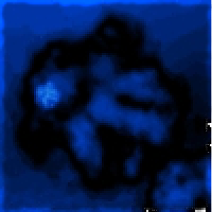 user189198 pic76818 1386501589