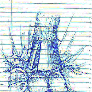 StompSketch