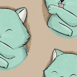 BG CAT01