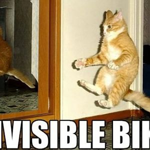 CatBike