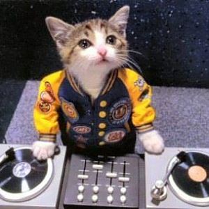 CatDJ
