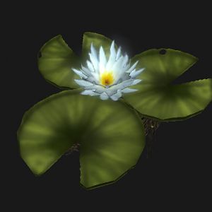 lilly