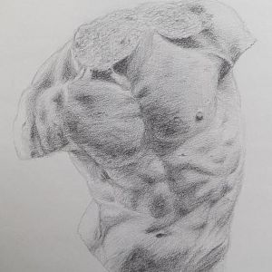 Torso