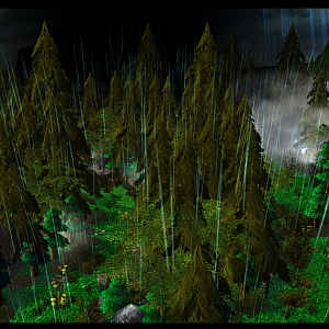 Forrest5