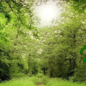 Mystery Game Final Resized