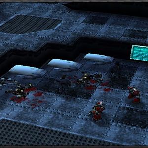 Dead Marines