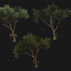 ctree