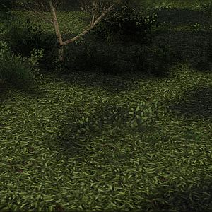 grass