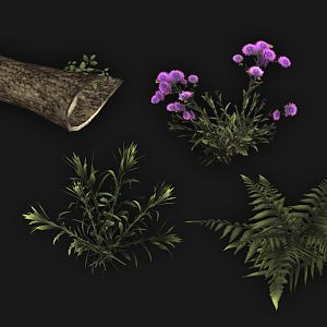shrubbery