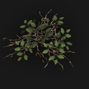 shrubbysh