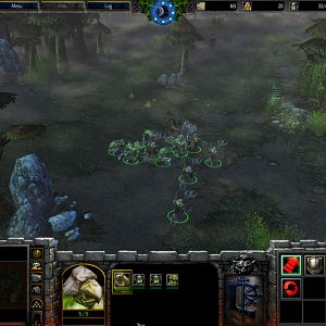 Orcs