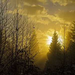 winter sunset