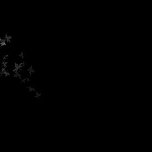 black wallpapers 5005 5308 hd wallpapers