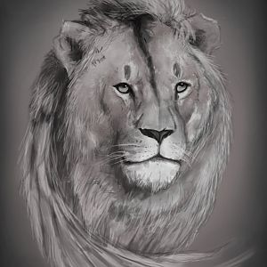 Untitled Artwork (6)
