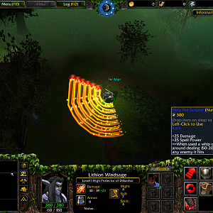When this item is used a whip of fire sweeps around dealing damage to enemies.