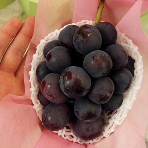 My hands are huge, which means this grape is
freaking huge!