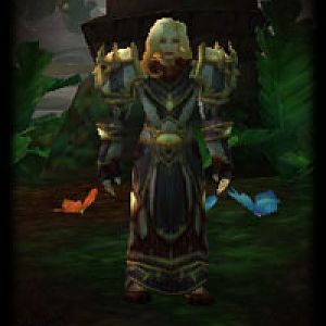 WoW: Battleground - Characters - Holy Priest