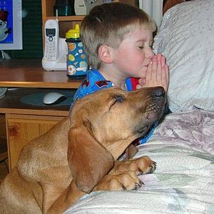 Dog and child