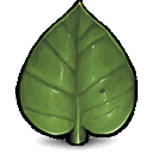 Leaf 128x128