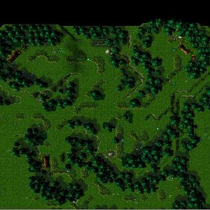 Terrain 1