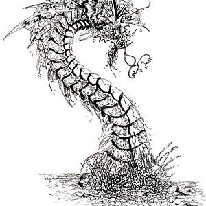 Wyrm