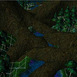 The Forest
