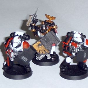 commander and the shielder
the shielders are armed with a bolt pistol, a chain arm and a shield (count as inv save with +5)
the "shield" is actually