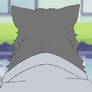Much amaze kawaii!