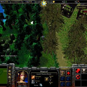 Warcraft 3 Arena of The Fame Bug