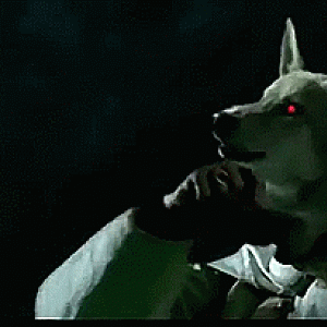 Wolf-Ception