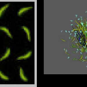 example of emitters using custom textures: