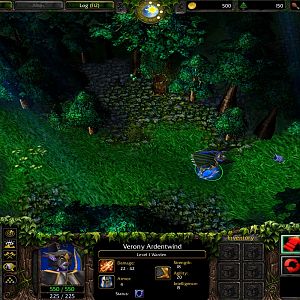 3 Forest run