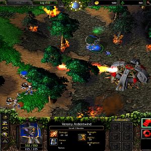 5 Forest burning