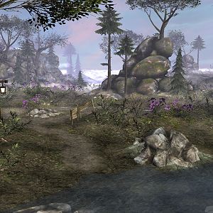 Far shot of the first region.